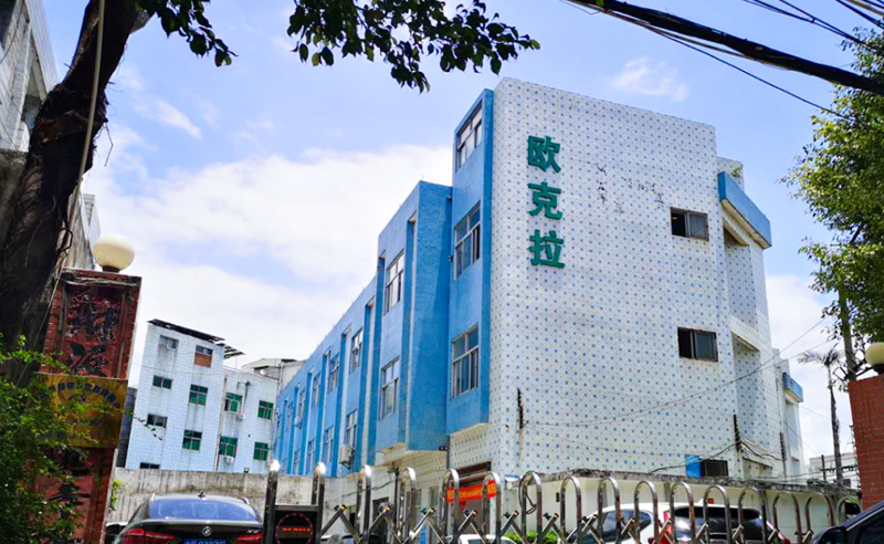 2021年東莞市歐克拉電子科技有限公司全面升級管理項目圓滿成功！