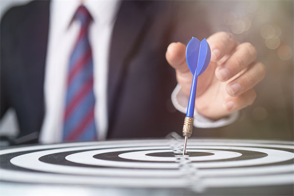 如何構建高效的集團管控體系，驅動企業(yè)穩(wěn)健前行？